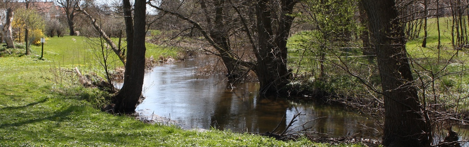 Nærområdet